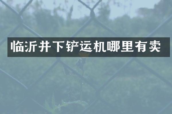 臨沂井下鏟運機哪里有賣