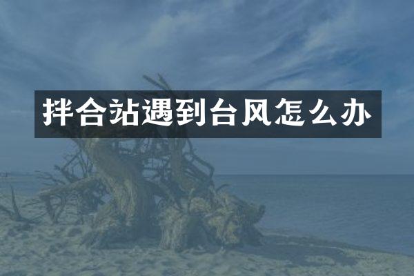 拌合站遇到臺(tái)風(fēng)怎么辦