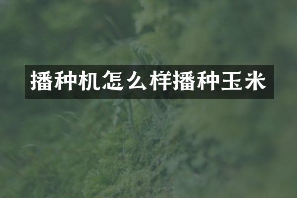 播種機怎么樣播種玉米