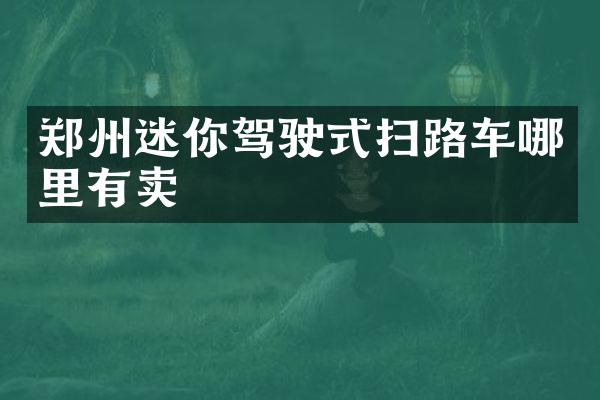 鄭州迷你駕駛式掃路車哪里有賣