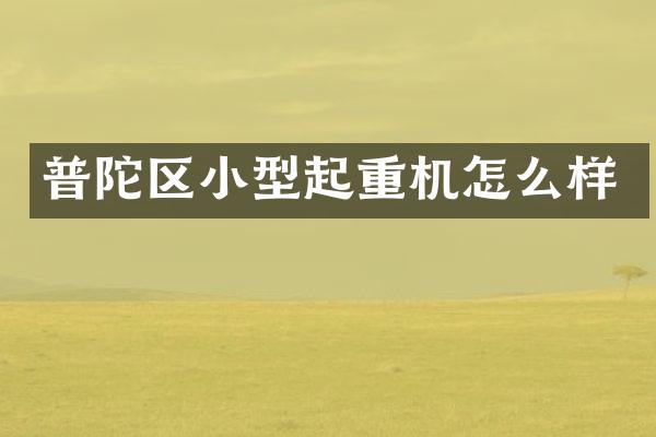 普陀區(qū)小型起重機怎么樣