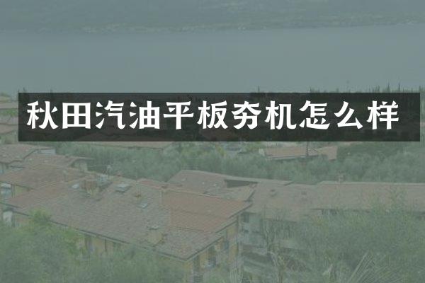 秋田汽油平板夯機怎么樣