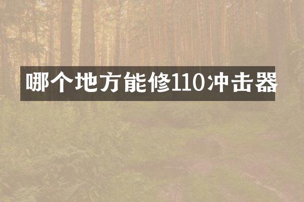 哪個地方能修110沖擊器