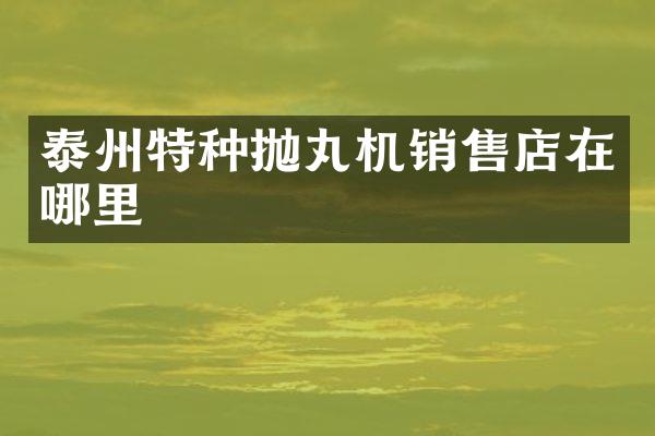 泰州特種拋丸機銷售店在哪里