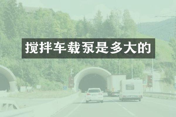 攪拌車載泵是多大的