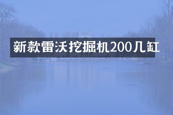 新款雷沃挖掘機(jī)200幾缸