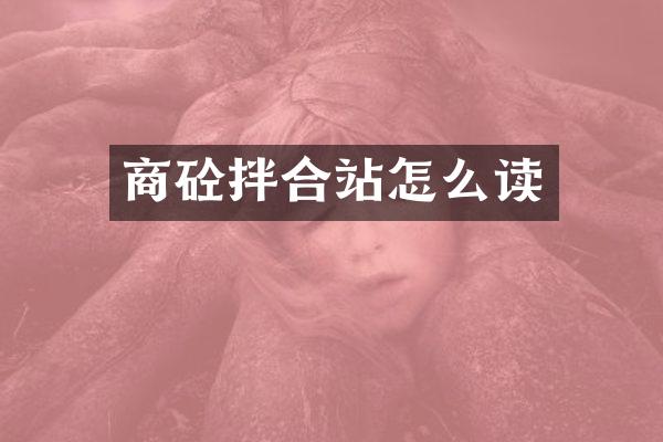 商砼拌合站怎么讀