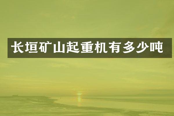 長垣礦山起重機有多少噸