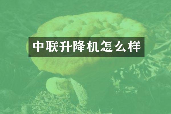 中聯(lián)升降機(jī)怎么樣