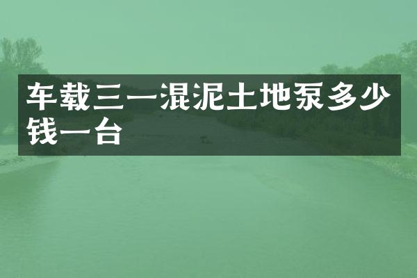 車(chē)載三一混泥土地泵多少錢(qián)一臺(tái)