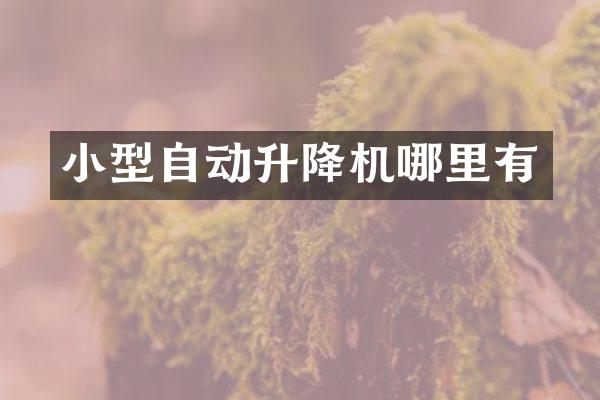 小型自動升降機(jī)哪里有