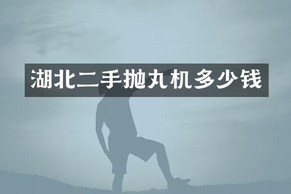 湖北二手拋丸機(jī)多少錢(qián)
