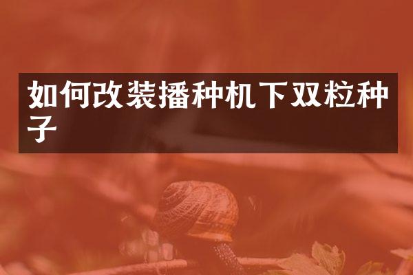 如何改裝播種機(jī)下雙粒種子