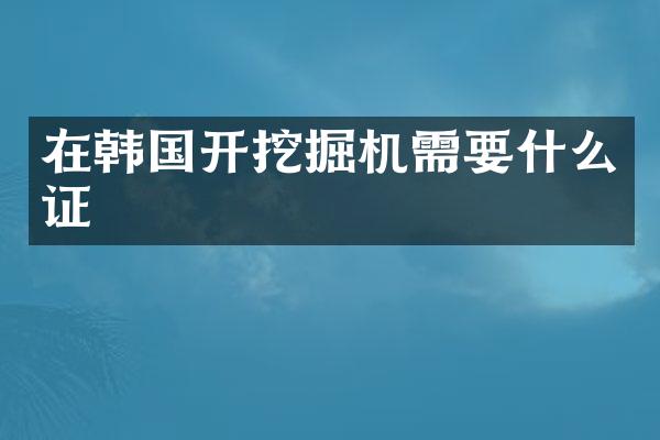 在韓國開挖掘機(jī)需要什么證