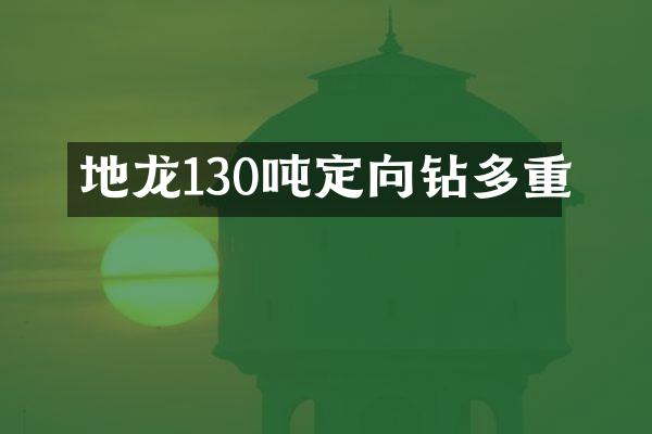 地龍130噸定向鉆多重