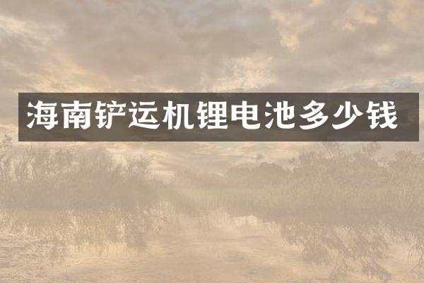 海南鏟運機鋰電池多少錢