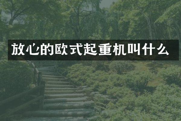 放心的歐式起重機(jī)叫什么