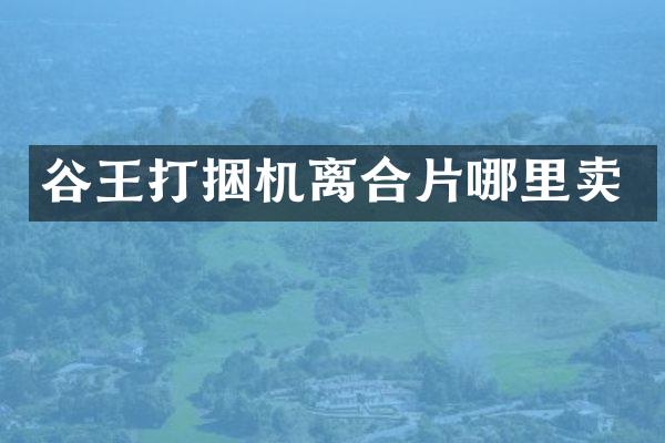 谷王打捆機離合片哪里賣