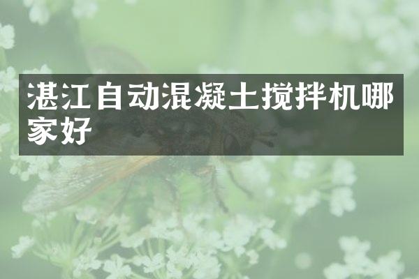 湛江自動混凝土攪拌機哪家好