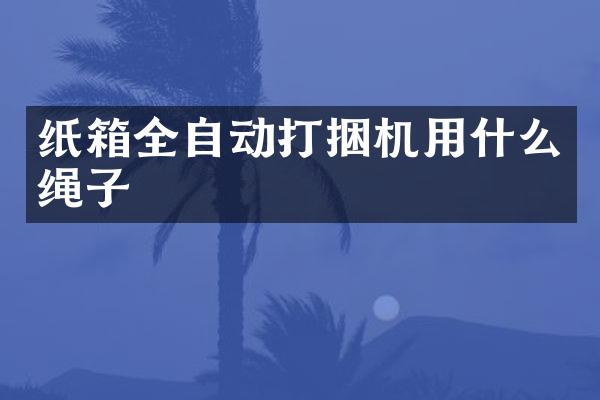 紙箱全自動打捆機用什么繩子