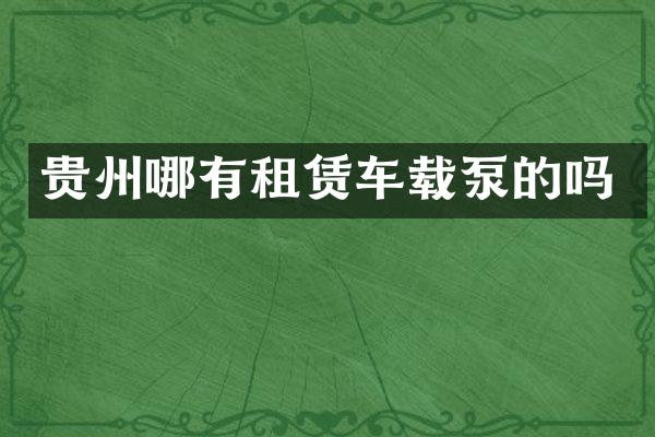 貴州哪有租賃車載泵的嗎