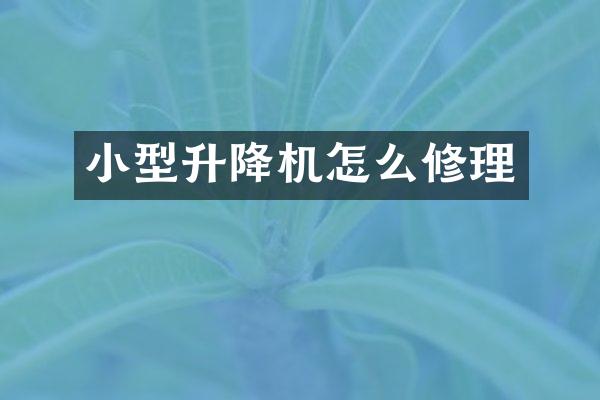 小型升降機(jī)怎么修理