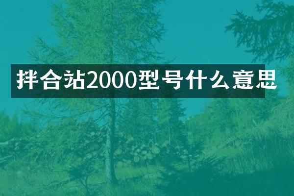 拌合站2000型號什么意思