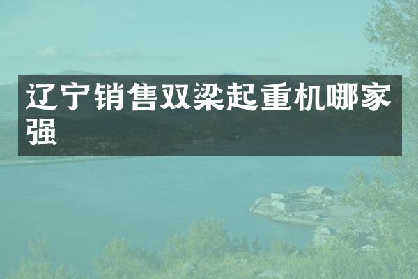 遼寧銷售雙梁起重機哪家強