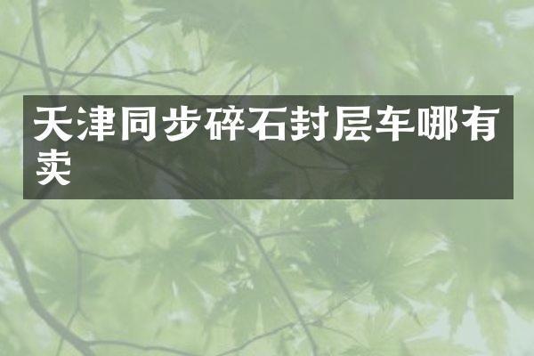 天津同步碎石封層車哪有賣