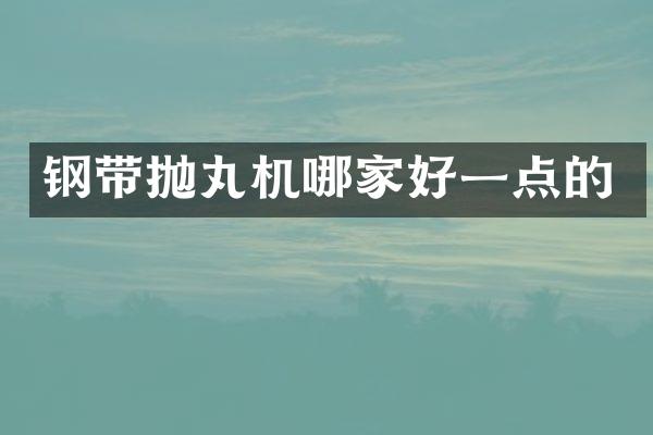 鋼帶拋丸機(jī)哪家好一點(diǎn)的