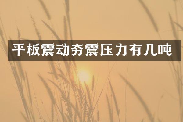 平板震動夯震壓力有幾噸