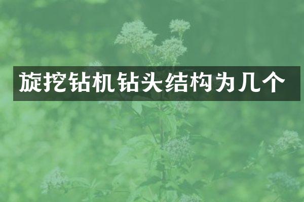 旋挖鉆機(jī)鉆頭結(jié)構(gòu)為幾個(gè)