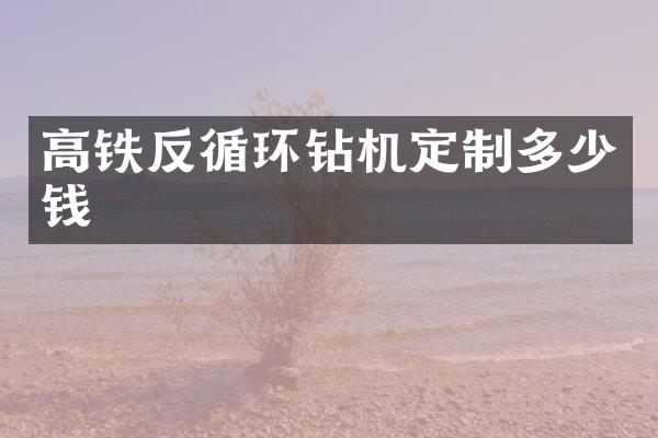 高鐵反循環(huán)鉆機(jī)定制多少錢