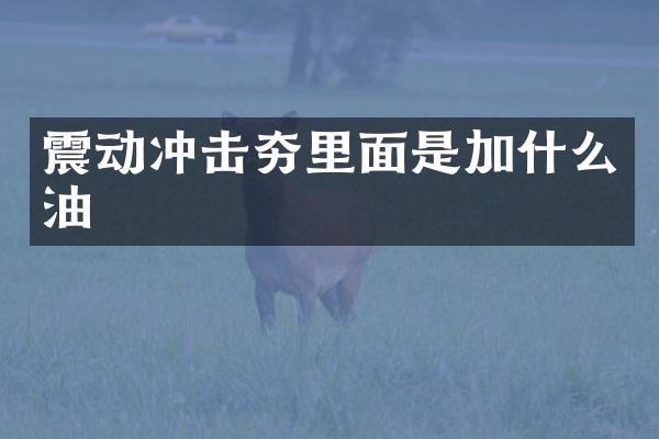 震動沖擊夯里面是加什么油