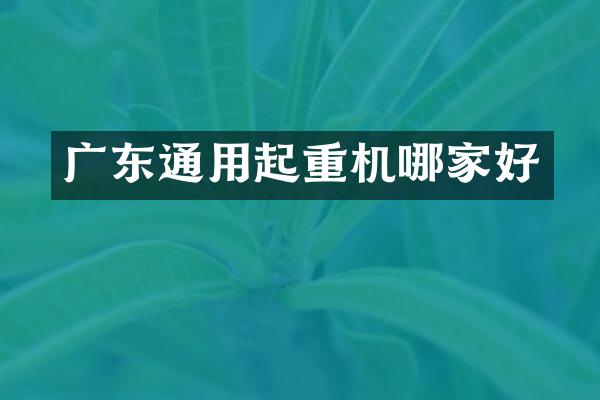 廣東通用起重機哪家好