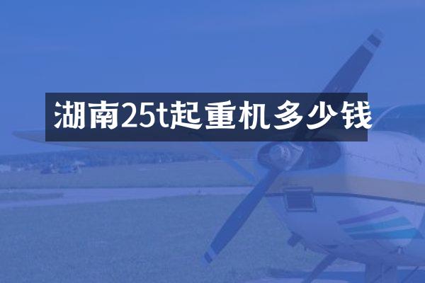 湖南25t起重機多少錢