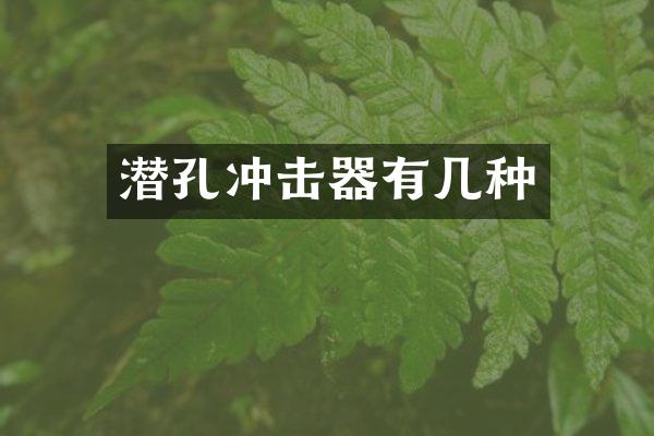 潛孔沖擊器有幾種