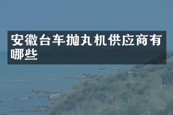 安徽臺車拋丸機供應(yīng)商有哪些