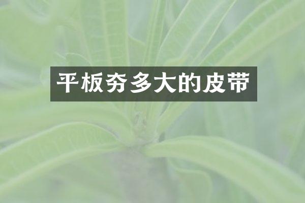 平板夯多大的皮帶