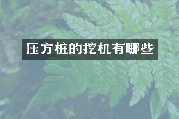 壓方樁的挖機有哪些