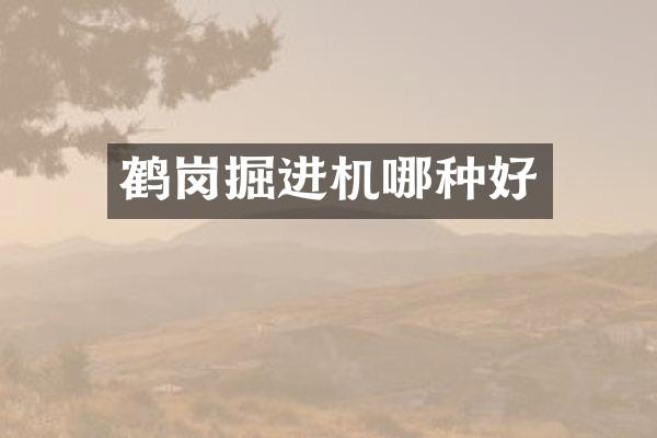 鶴崗掘進(jìn)機(jī)哪種好