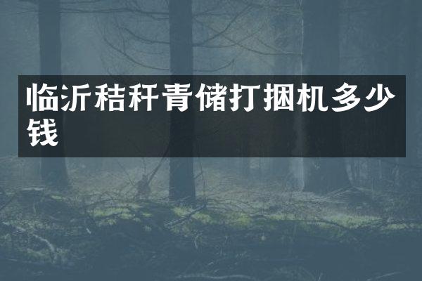 臨沂秸稈青儲(chǔ)打捆機(jī)多少錢