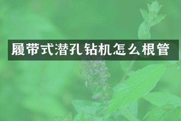 履帶式潛孔鉆機怎么根管