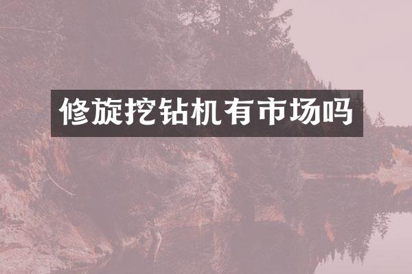 修旋挖鉆機有市場嗎