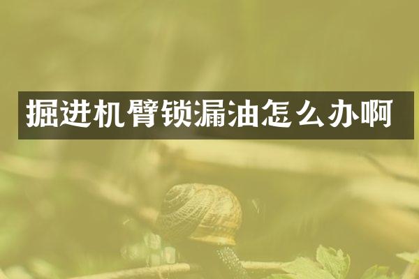 掘進機臂鎖漏油怎么辦啊