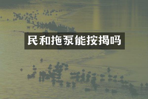 民和拖泵能按揭嗎