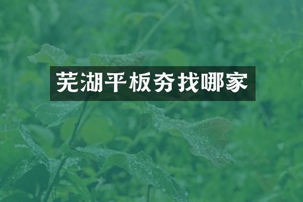 蕪湖平板夯找哪家