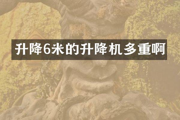 升降6米的升降機(jī)多重啊