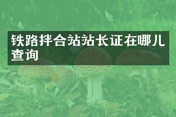 鐵路拌合站站長(zhǎng)證在哪兒查詢