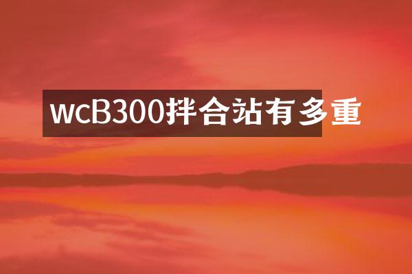 wcB300拌合站有多重